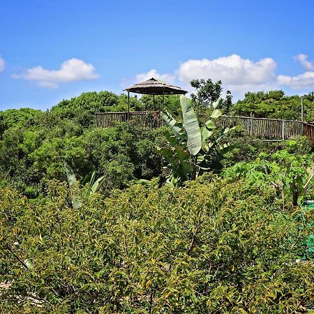 Kosi Bay Lodge Manguzi Екстериор снимка