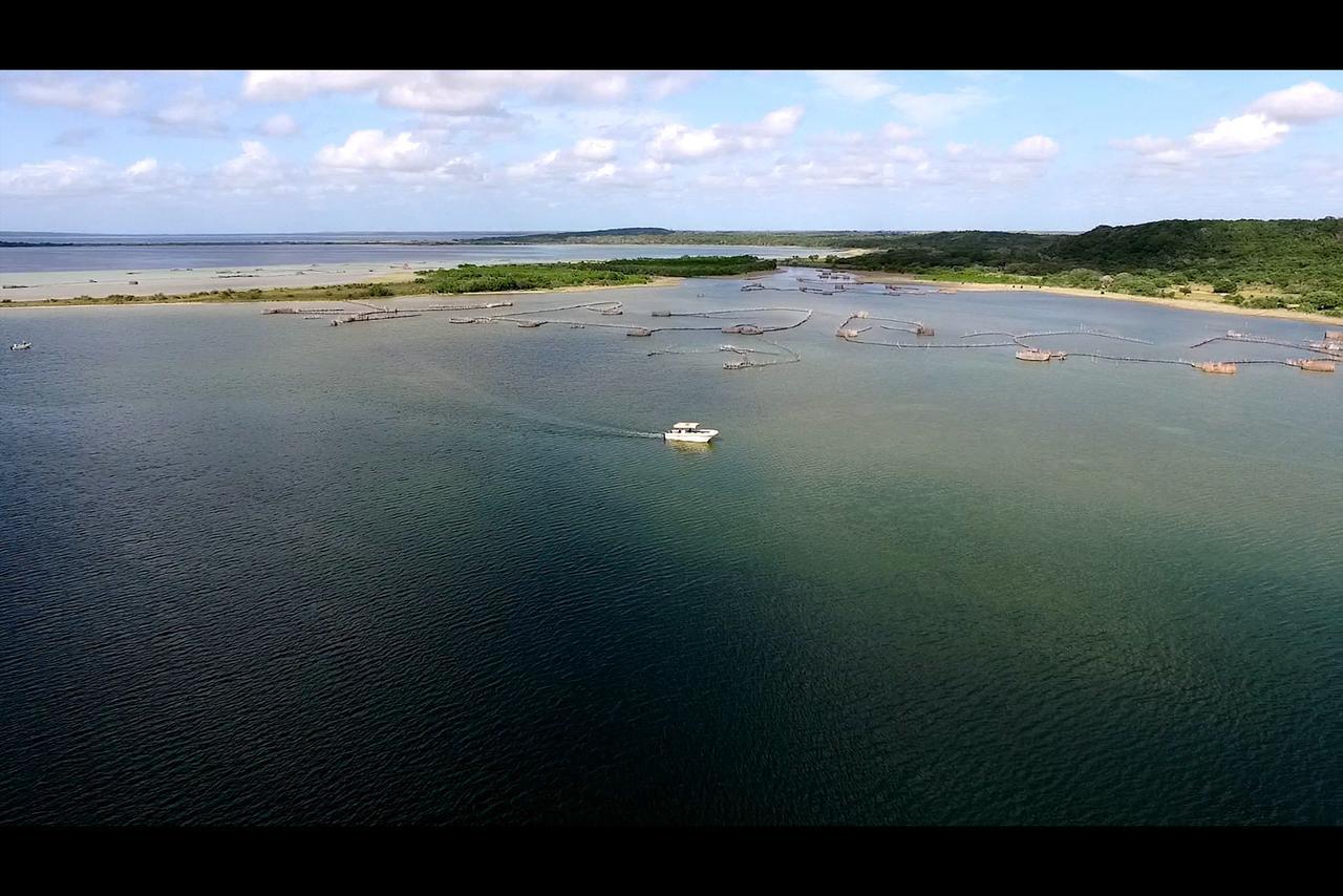 Kosi Bay Lodge Manguzi Екстериор снимка